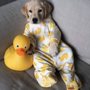 unknown9898sblog avatar