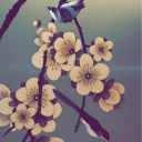 unknownmatters avatar