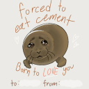 unoriginalbutterfly avatar