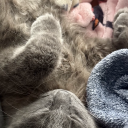 unruly-paradise avatar