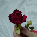 unspoken-solitude avatar