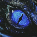 untamedcrusader avatar