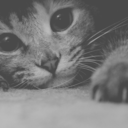 until-the-end-of-my-dream avatar