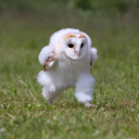 untilthelighttakesoss avatar