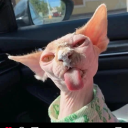 untilyouburnallofthewitches avatar