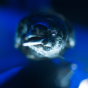 untitled-projects avatar