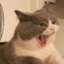 untitledcoffeeshopau avatar