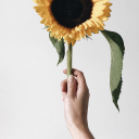 unyeilding-blog avatar