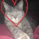 upsetandneedtovent avatar