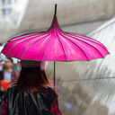 upstyld-seoul avatar