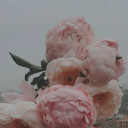 usedtobemygirl avatar