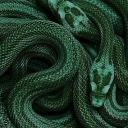 username-273727 avatar