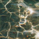 usseless-girl avatar