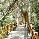 utterlyimpossible avatar