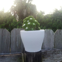 uwu-maps-go-to-jail-uwu avatar