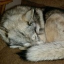 vacillators-interlude avatar