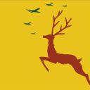 valhalla-dancehall avatar