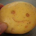 validfoodideas avatar