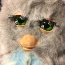 validfurby avatar