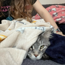 valientpeanut avatar