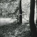 valkyriedyinginsidecain-blog avatar