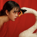 valleyofdollss avatar