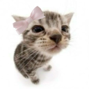 valleyofthebongs avatar