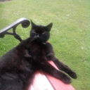 vampirakitten avatar