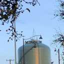 vampire-loving-vampire avatar