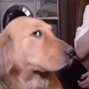 vampy00ns-blog avatar