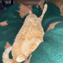 vampyregoth666 avatar