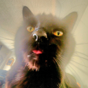 vandhalscandal avatar