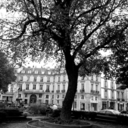 vanillafirefly avatar