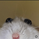 vapemaster42069 avatar