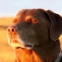 vdkkysmmmmmmmmmmmmmmmmmmmmmmmm avatar