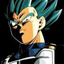 vegeta-briefs-ssj-prince avatar