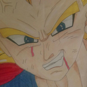 vegeta9001 avatar