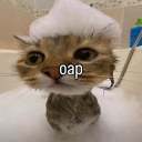 vehiculartheyslaughter avatar