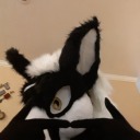 velvet-cosplays avatar