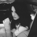 venicebiiitch avatar