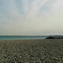 venomousaffection avatar