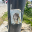 venusintheblindspots avatar