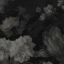 ver-si-fi-can-d0 avatar