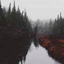 verbavolantimagesmanent avatar