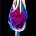 verdantnecrosis avatar