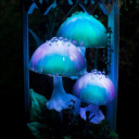 verdigris-mushroomcollection avatar