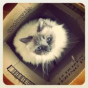 veritas-scribblings avatar