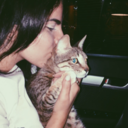 vermilion-void avatar