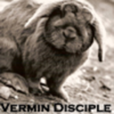 vermin-disciple avatar