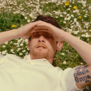 very-straight-blog avatar